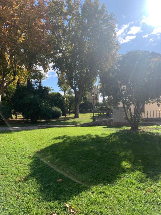 Ferienwohnung Apartamento A Estrenar A Un Minuto Del Alcazar Córdoba Exterior foto